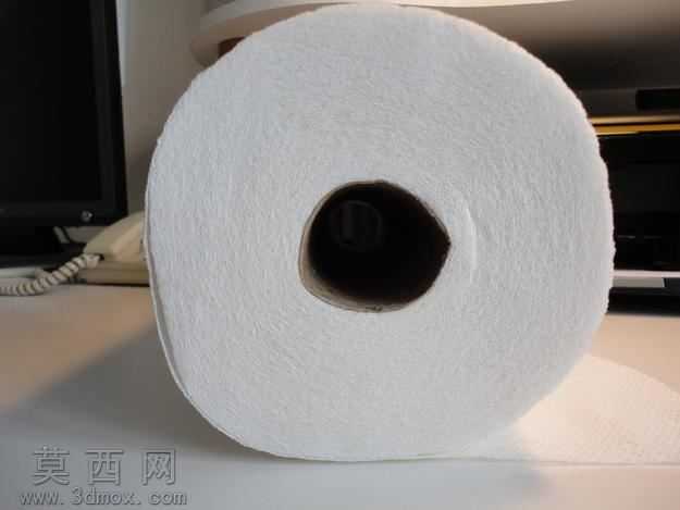 PaperTowelHolder��ֽë������
