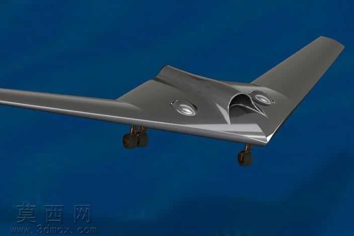 RQ-170���˻�
