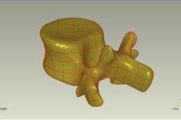 lumbar_vertebrae_3d_model
