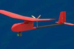 RQ-11��ѻ
