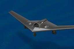 RQ-170���˻�

