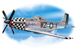 Ұ��P-51����