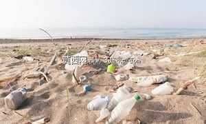 海滩清洁配件\u0026花园