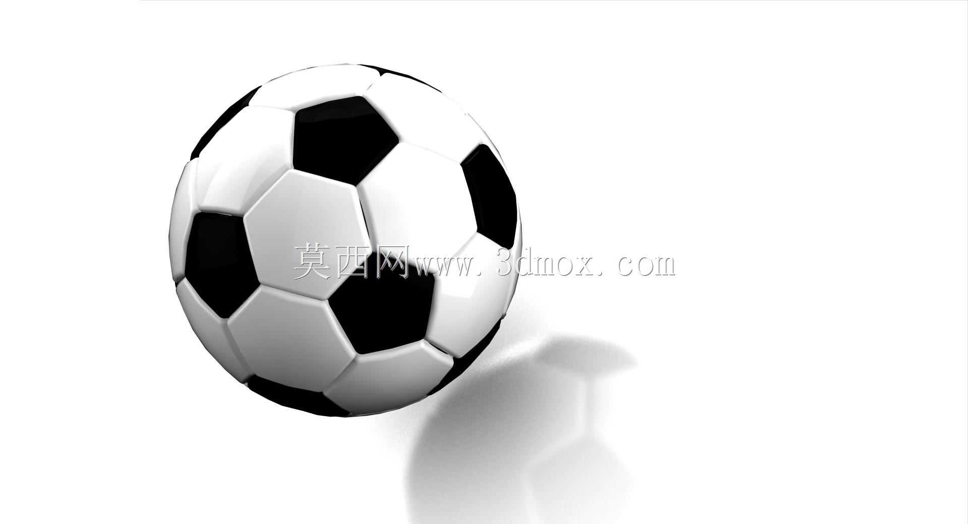�����˶�