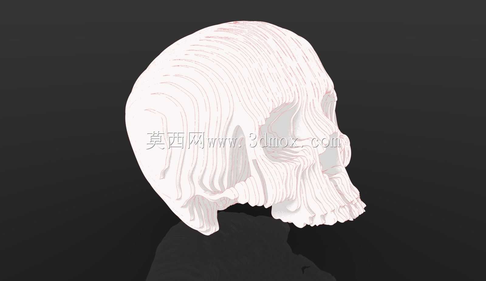 KeyShot卡通渲染:骷髅