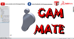 SOLIDWORKS͹�����ע