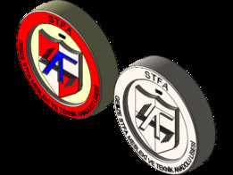 STFA��ʶ������½ṹ