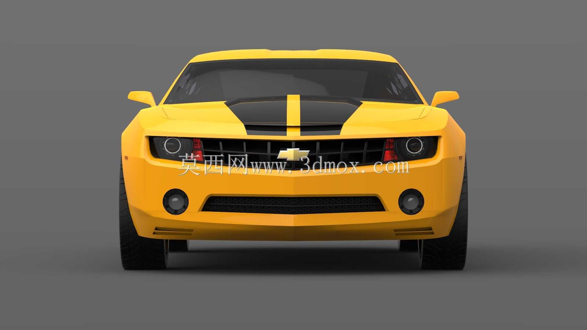 ѩ���������޸��2010