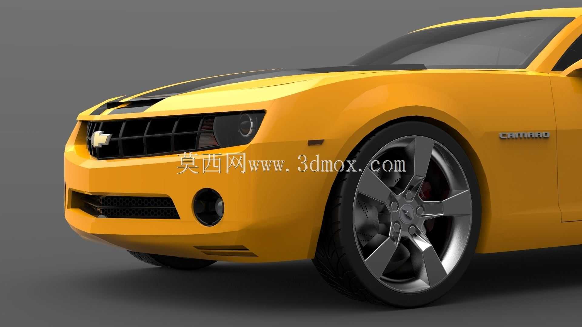 ѩ���������޸��2010