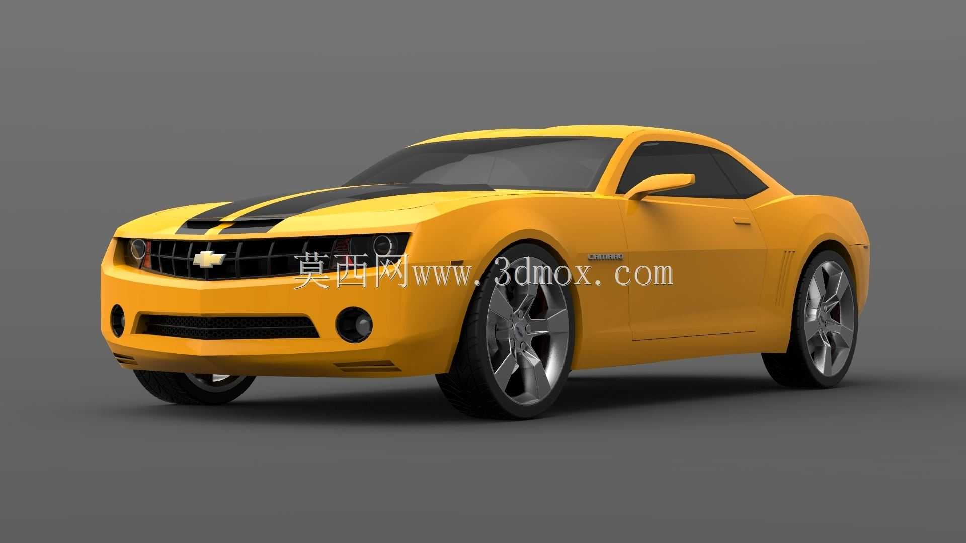 ѩ���������޸��2010
