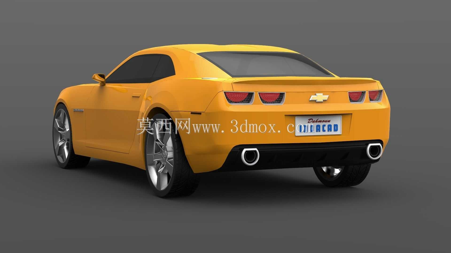 ѩ���������޸��2010