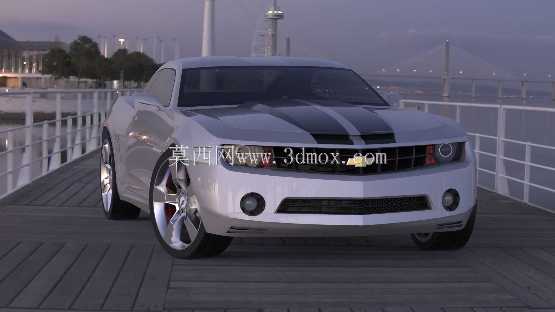 ѩ���������޸��2010