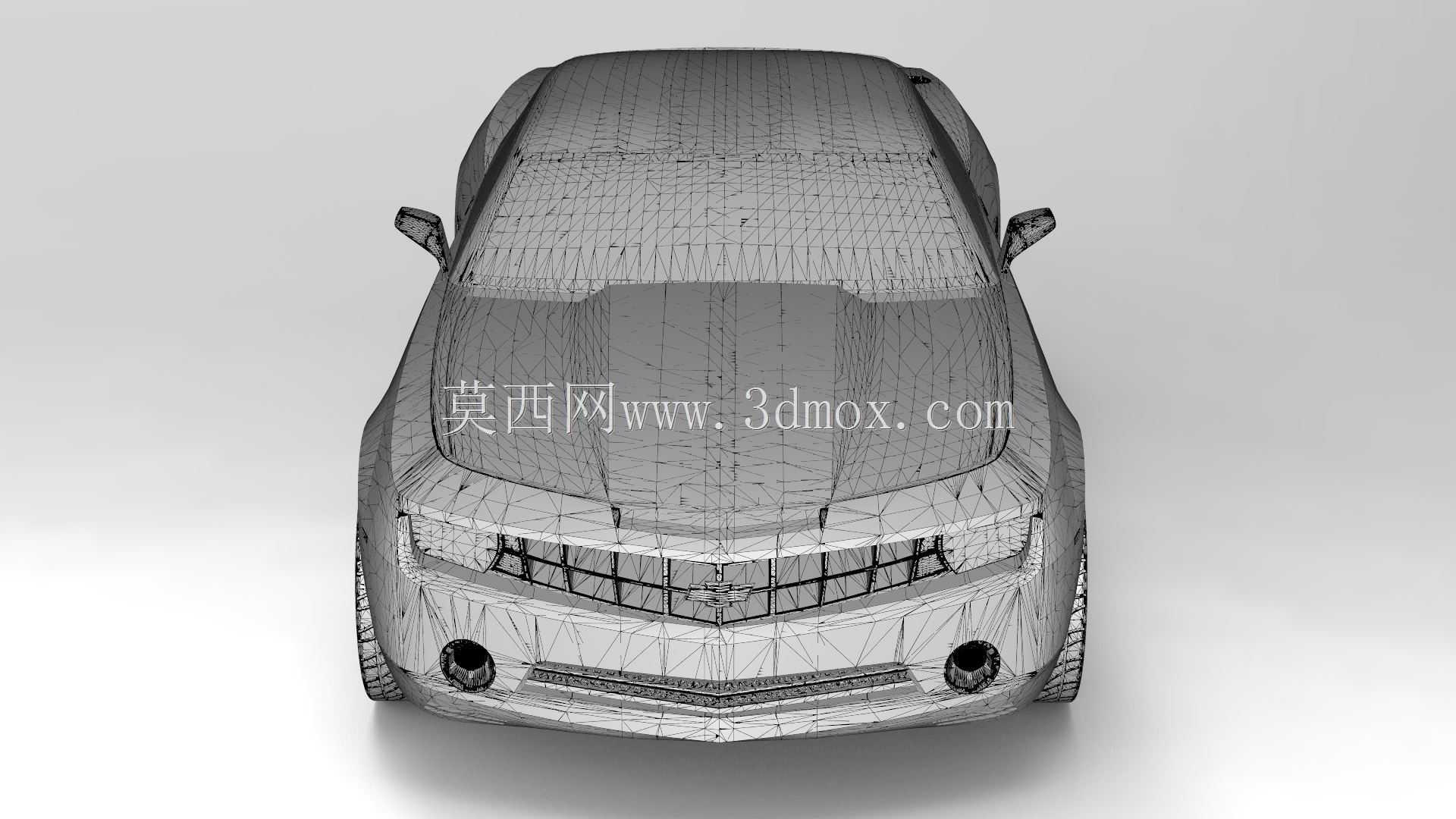 ѩ���������޸��2010
