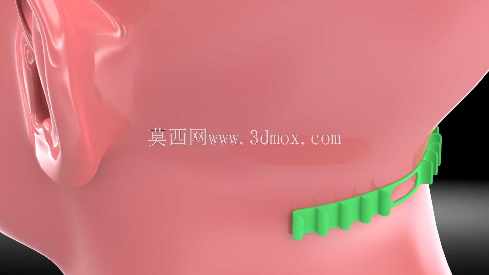 �¹ڲ���19