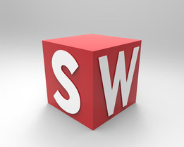 SW��־
