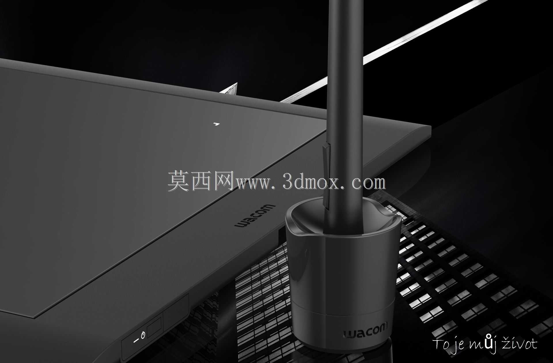 Wacom intous pro L