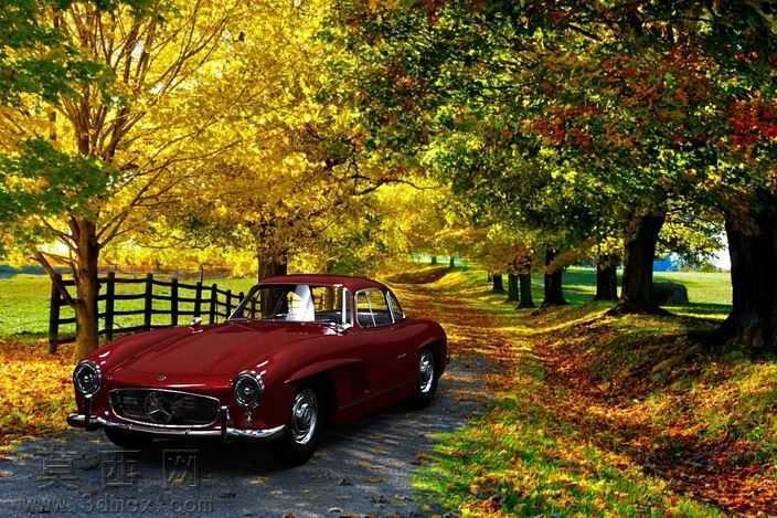 1950÷����˹����300SLŸ��ʽ

