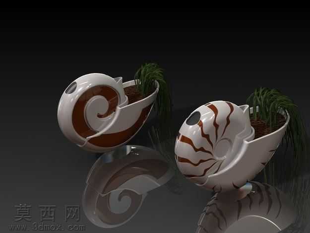 鹦鹉螺花盆和水罐
