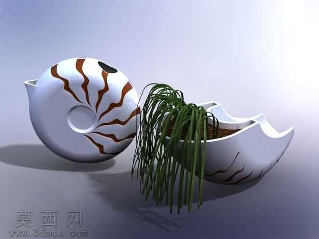 鹦鹉螺花盆和水罐