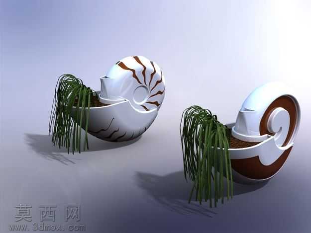 鹦鹉螺花盆和水罐