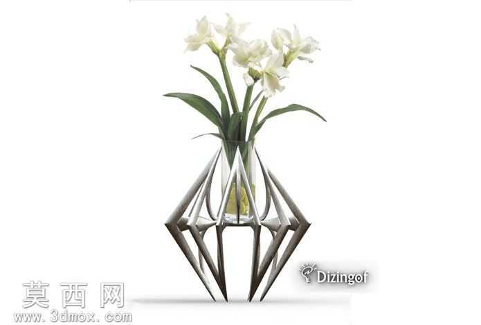 Enneper���ػ�ƿ������-��ѧ������@Dizingof

