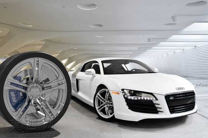 �µ�R8

