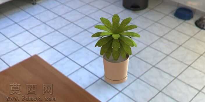 血管complanta