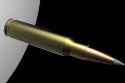Cal.308