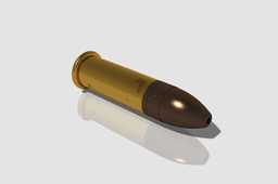 .22LR
