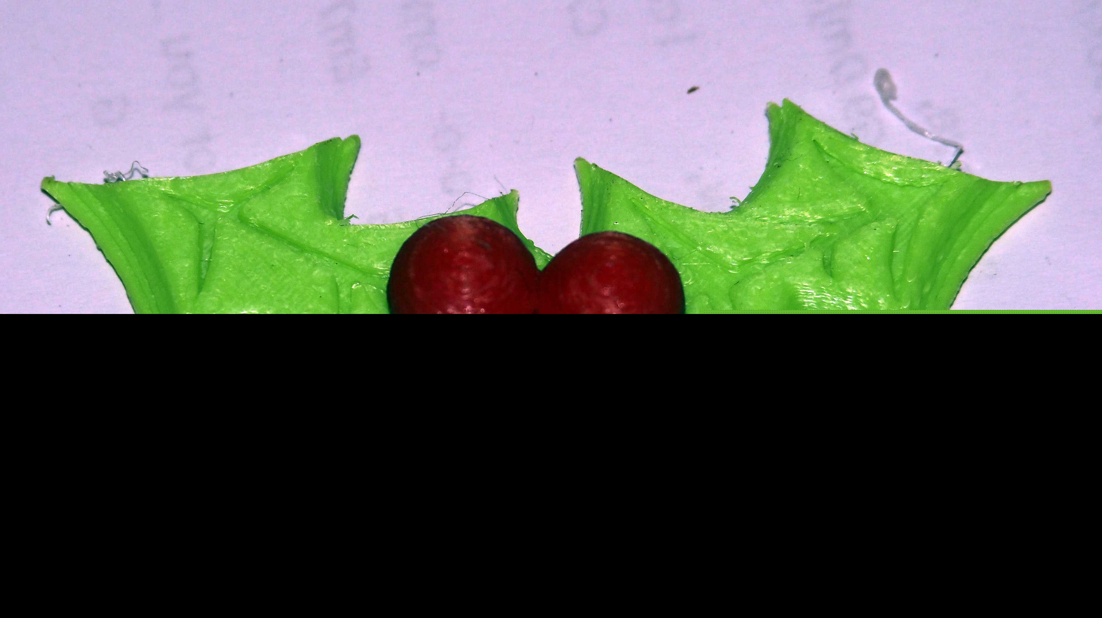 ʥ������