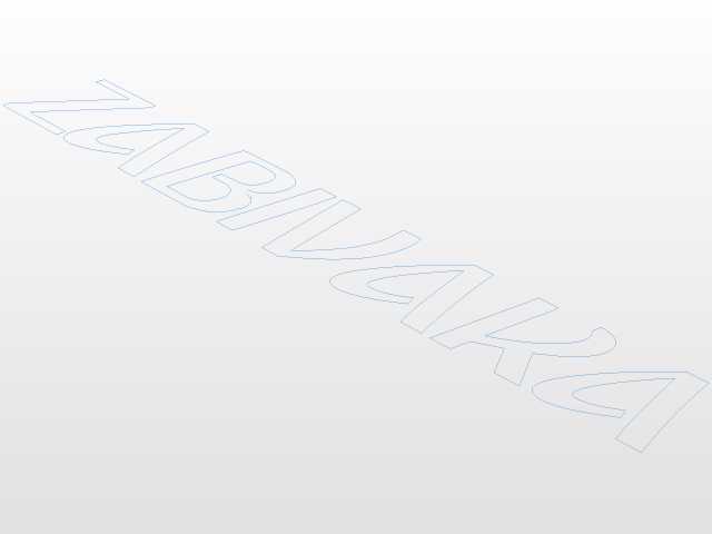 �����߿�