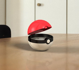 Pokeball_ֱ��80