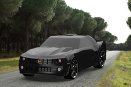 ѩ����������2010