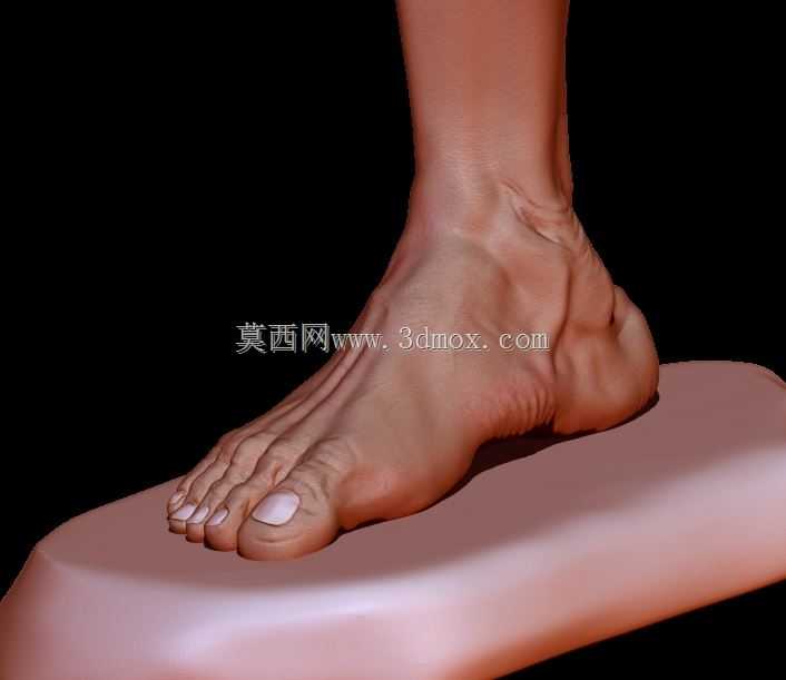 ţ���