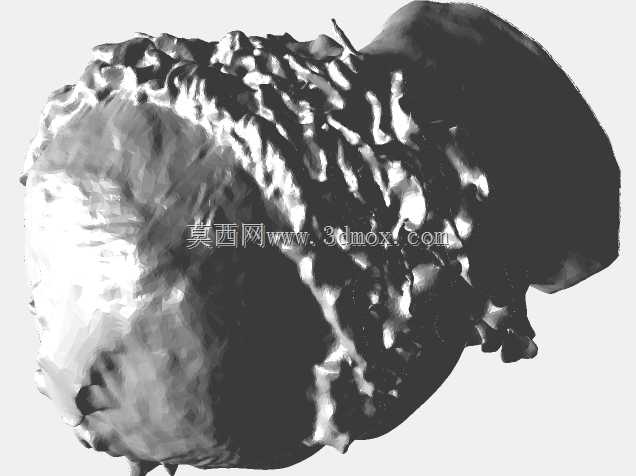 米莫的大脑袋还是个孩子