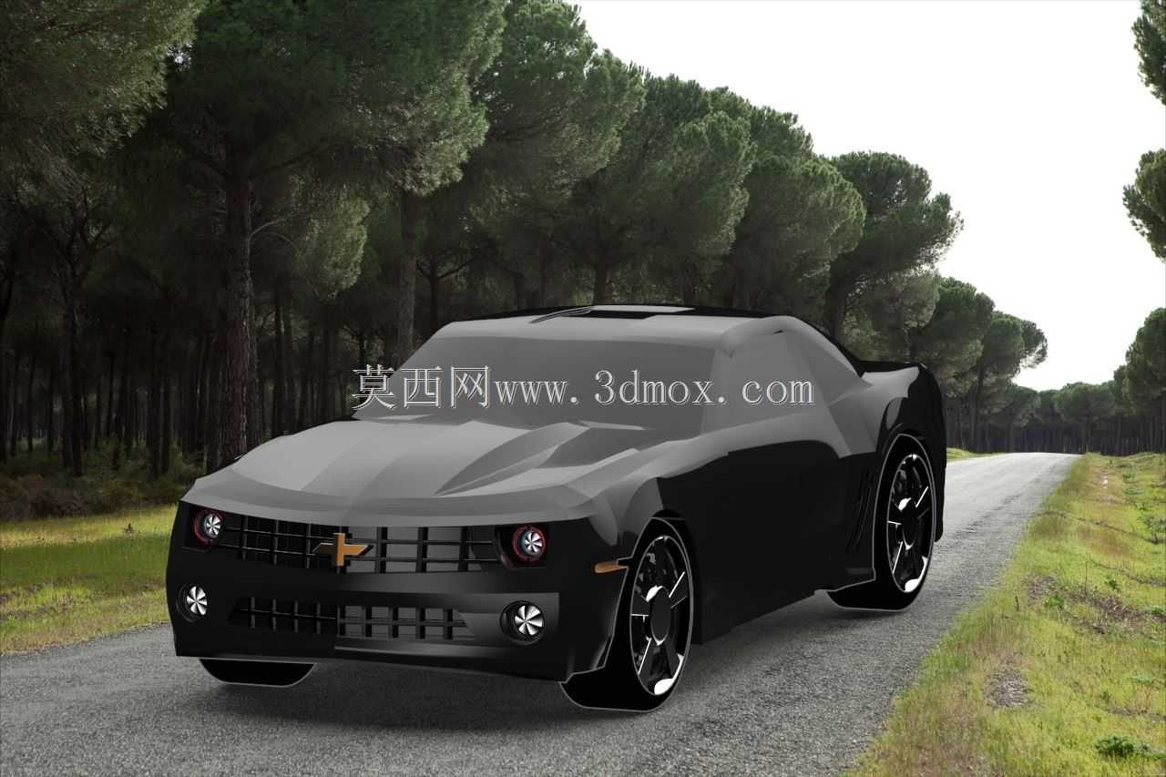ѩ����������2010