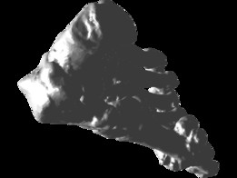 �ҽ���
