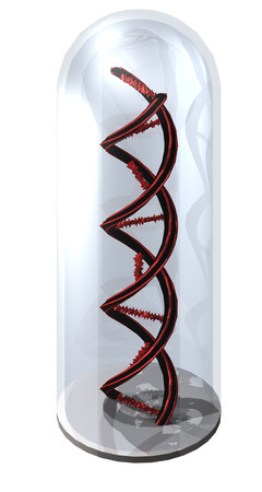 ������DNA