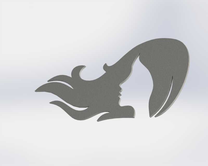 ʾ����