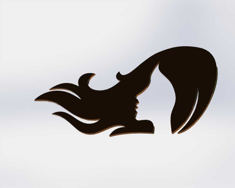 ʾ����