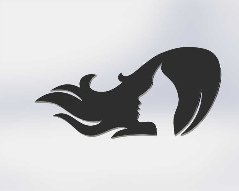 ʾ����