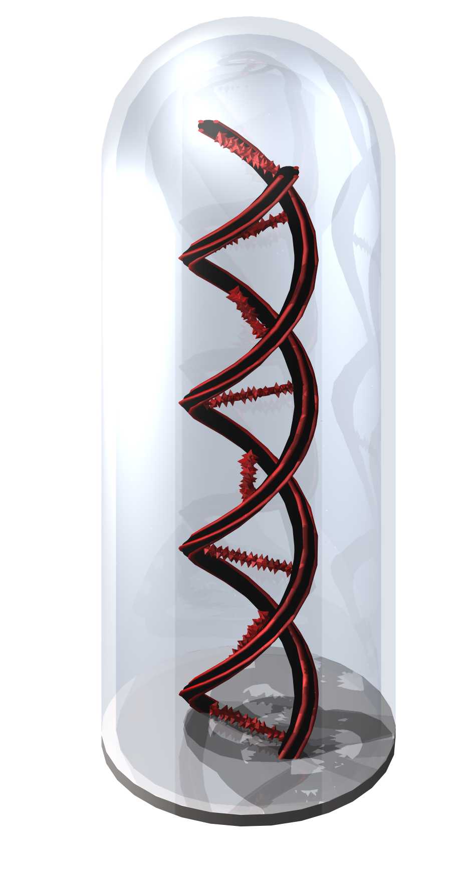 ������DNA