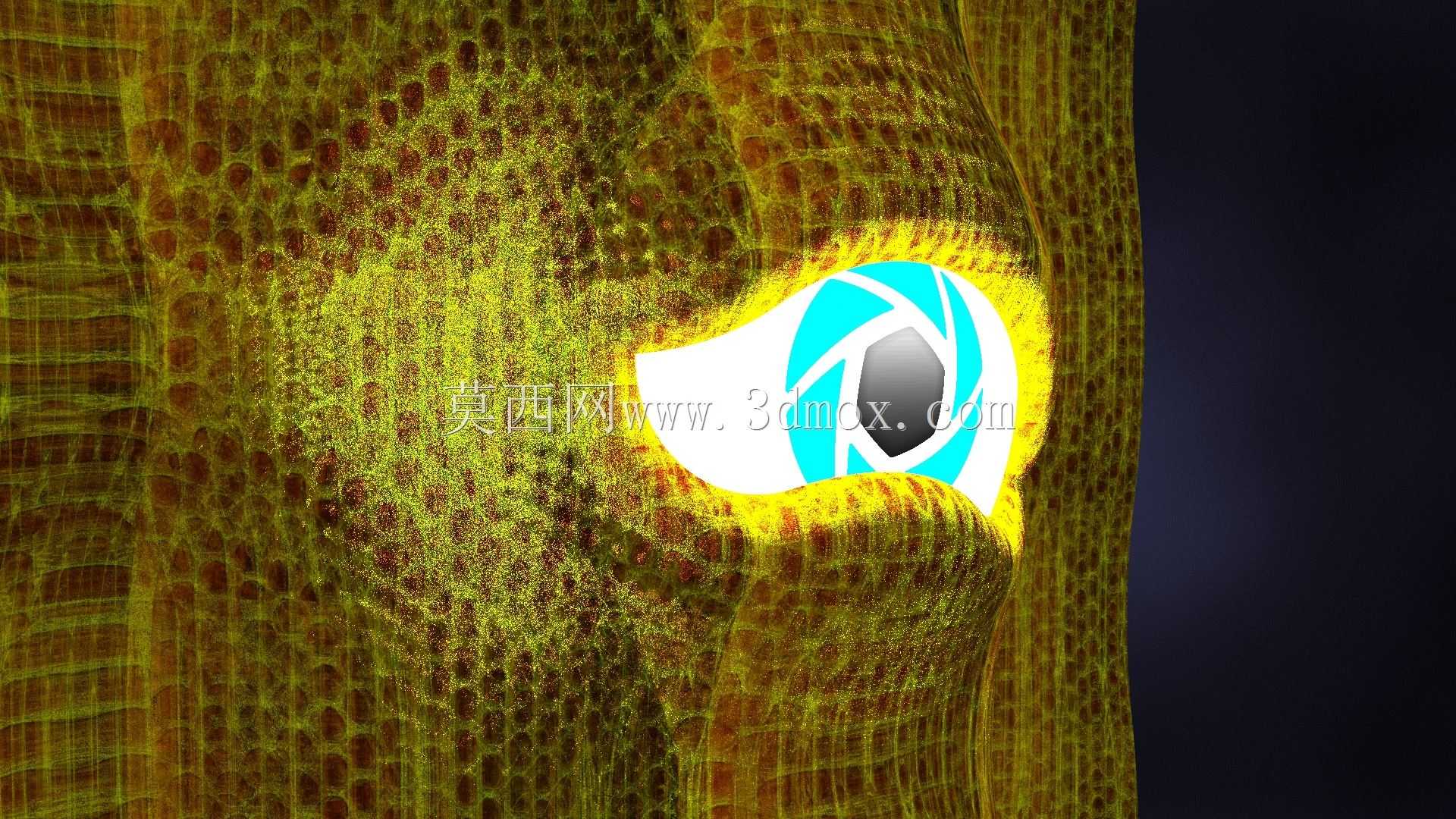 ��Ф�ع���֮��