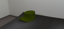 3D��ӡñ