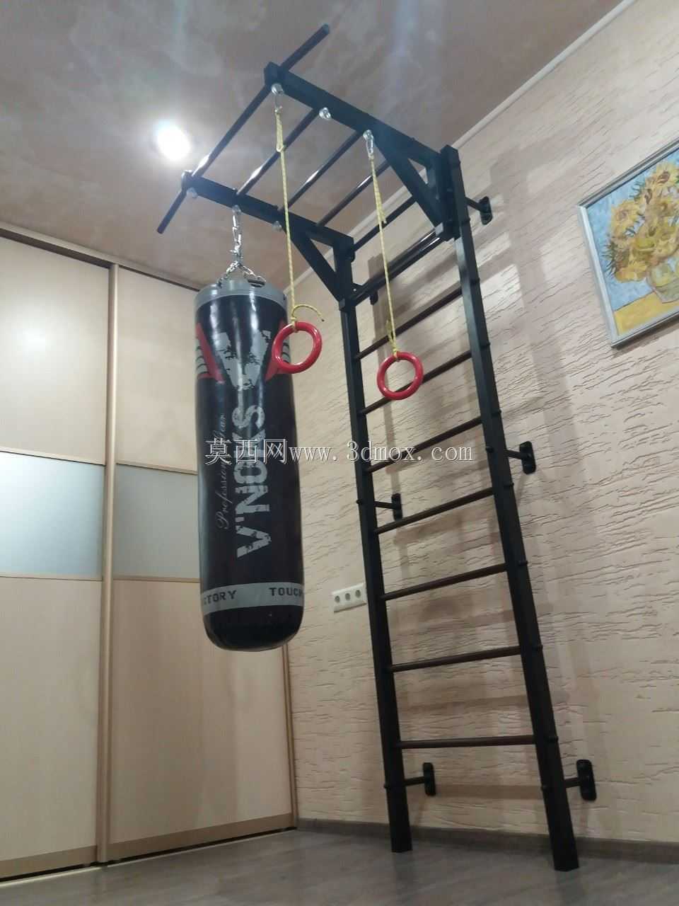 �˶�ѵ������