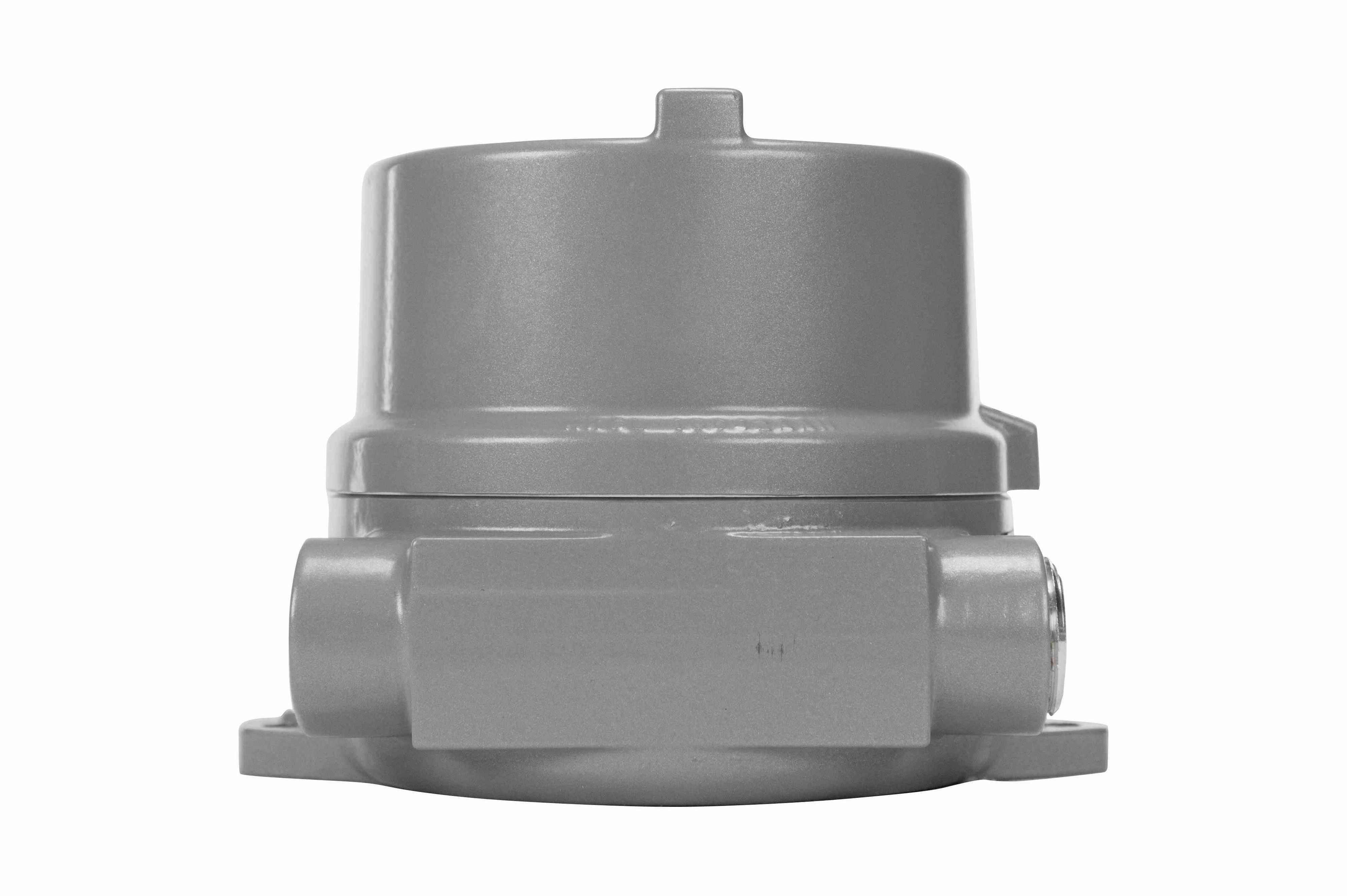防爆红色起重机警告激光器-C1D1-2-C2D1-2-表面安装-12-24V DC-铝