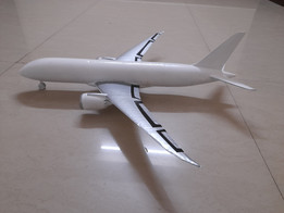 3D��ӡ787�λÿͻ�