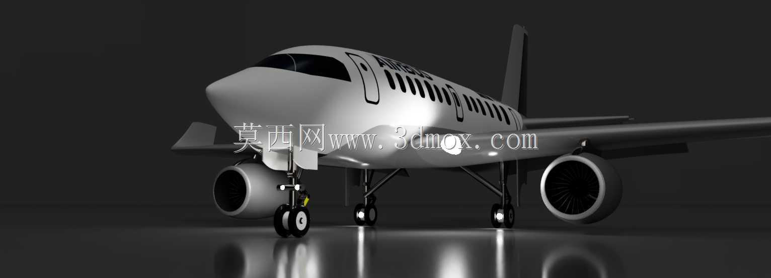 С������ʽ�ɻ����A220����ѩ������