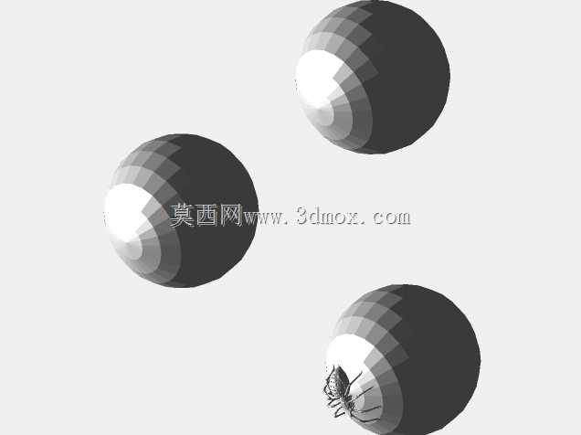 蜘蛛