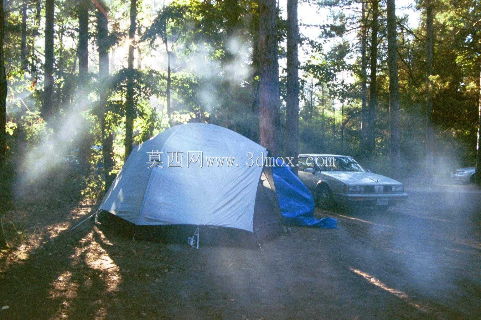 ��ľ�ۣ�˹���ػ�Ұ15'��1982��